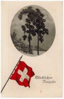 L 155 GLÜCKLICHES NEUJAHR UND SCHWEIZER FAHNE 1918