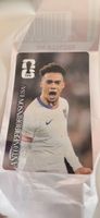 Cola Panini Antonee Robinson (USA) 