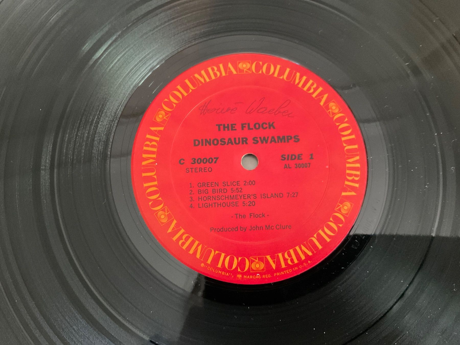 Dischi in vinile: The Flock Dinosaur Swamps LP – Usato da Delémont venduto da vinylfreak01 5