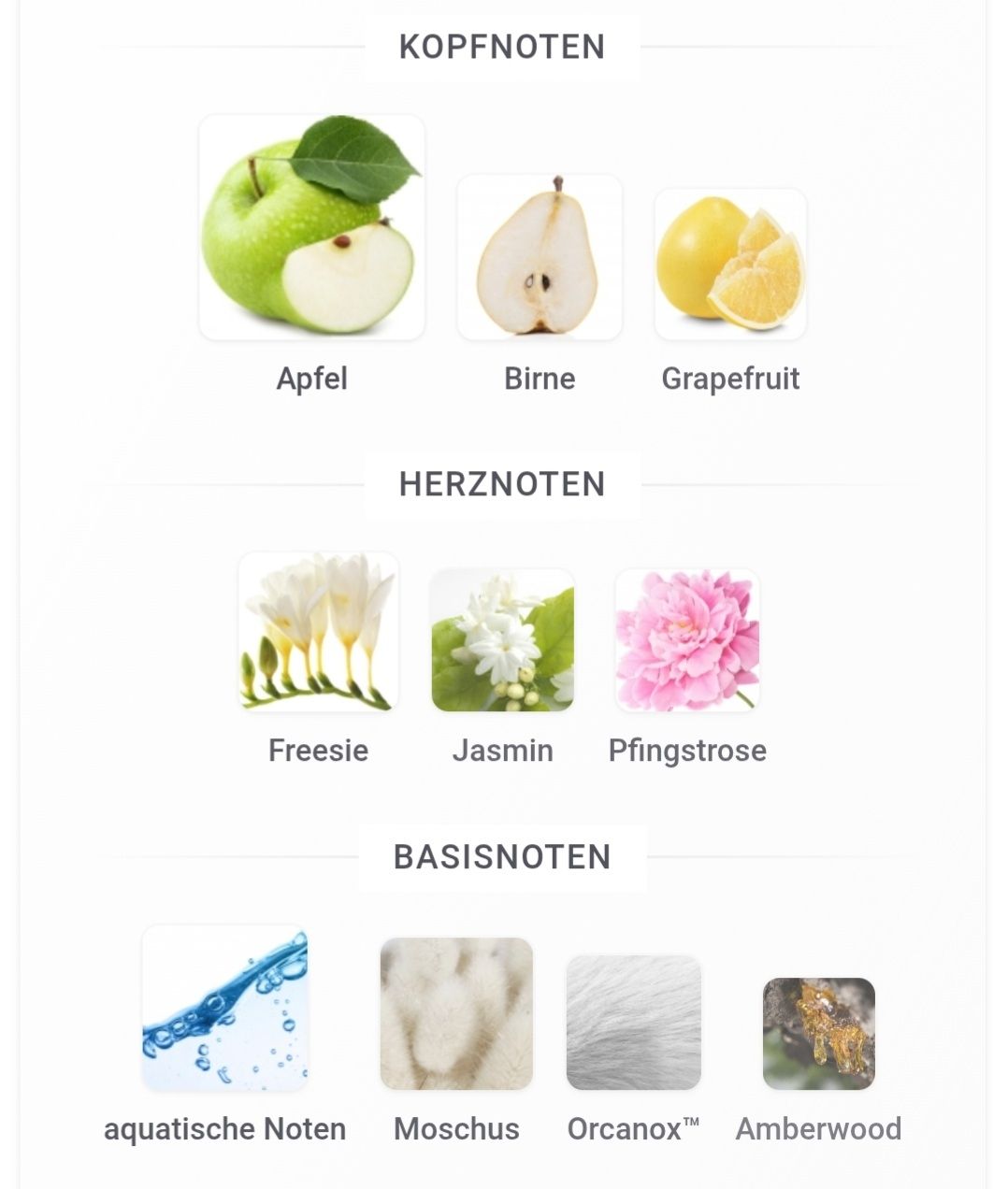 Clean Parfum & Eau de Toilette: CLEAN Classic Apple Blossom – Neu (gemäss Beschreibung) aus Winterthur von Je. 3