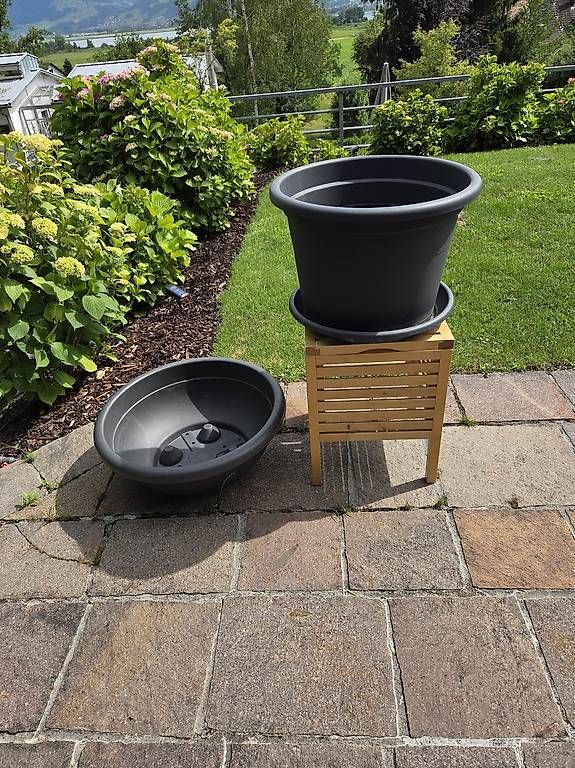 Blumentöpfe: Blumentopf – Gebraucht aus Jona von pau_g7rc