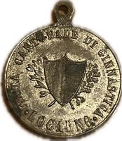 Ticino-Locarno 1871, Festa Cantonale Ginnastica 