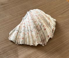 Grosse Muschel - 19,5cm - Windlicht