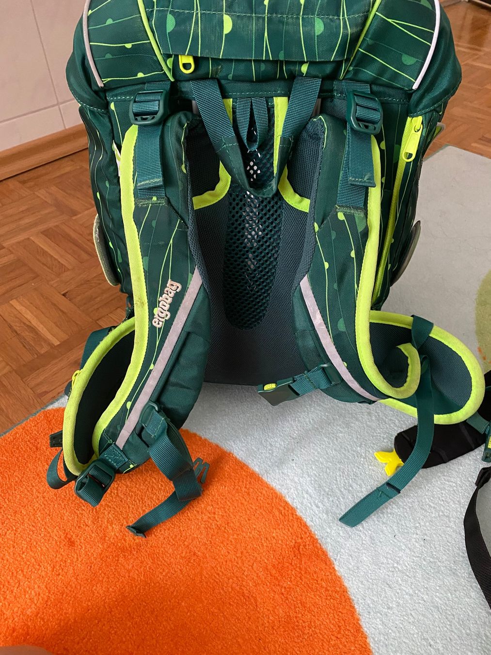 Ergobag Borse & Zaini: Schulranzen Ergobag mit Turnbeutel – Usato da Basel venduto da WidmerV 2