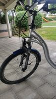 Zuverlässiges Schweizer Flyer E-Bike (Damen / Tiefeinsteiger