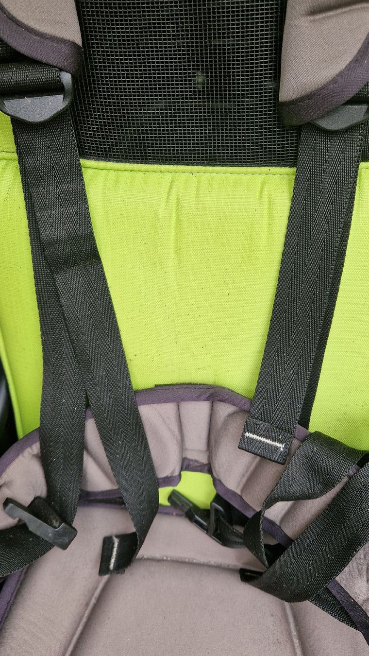 Thule Rimorchi: Thule Chariot Cab 2 Velo Anhänger – Usato da Oensingen venduto da Nussikowski 5