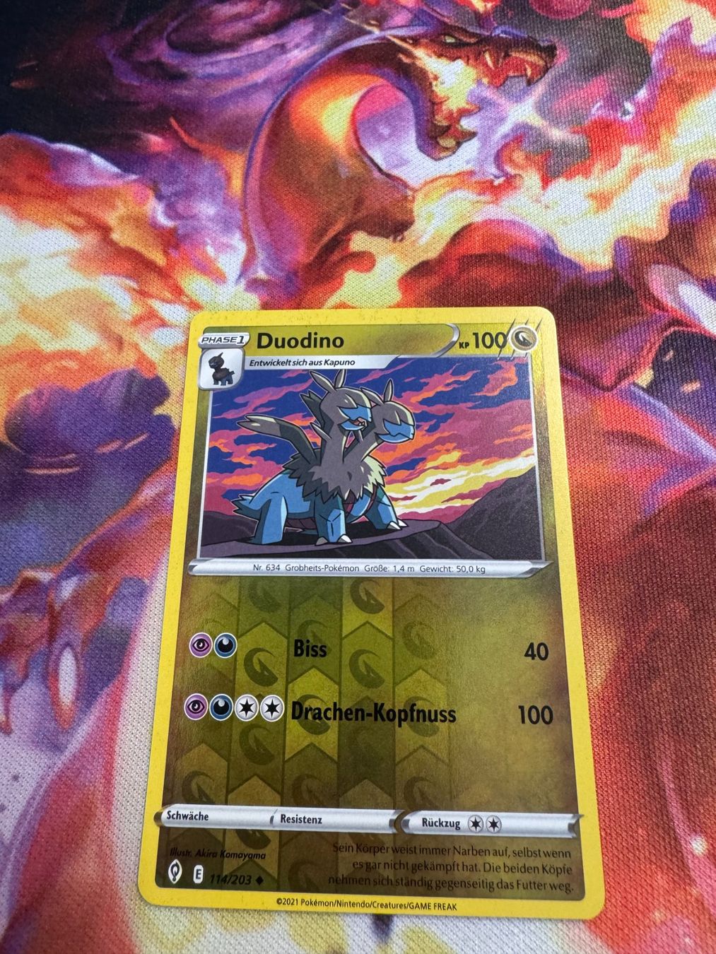 Pokémon Carte collezionabili: Duodino (EVS 114) / Reverse Holo / Drachenwandel – Nuovo (secondo la descrizione) da Bülach venduto da CherryBlu