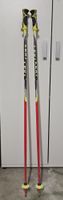 Leki Worldcup Skistöcke 120cm