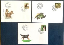 2007-09 - FDC / Wildkatze-Pro Natura - Berner Sennenhunde