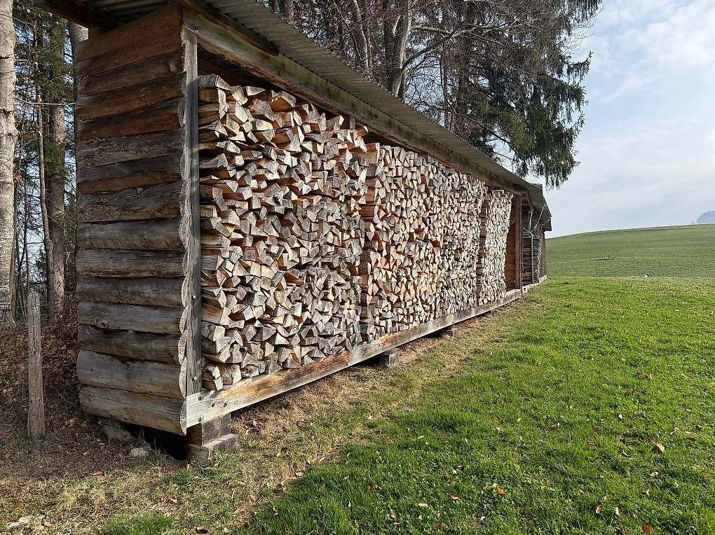 Regale: Holzlager – Gebraucht aus Brünisried von magnum02 1