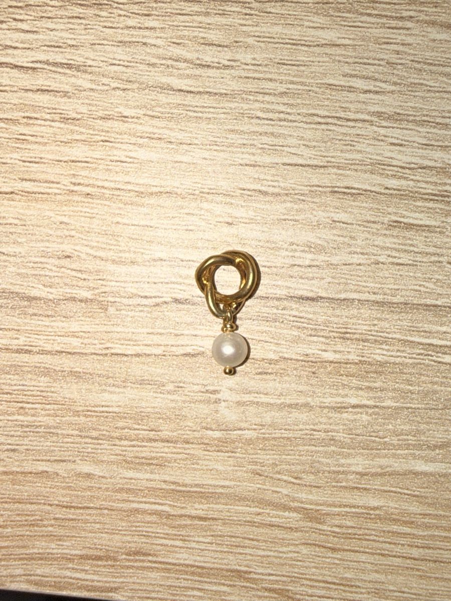 Pandora Pendentifs: Pandora Charm – Neuf (Voir description) à Rhäzüns par Spadinvirginia_