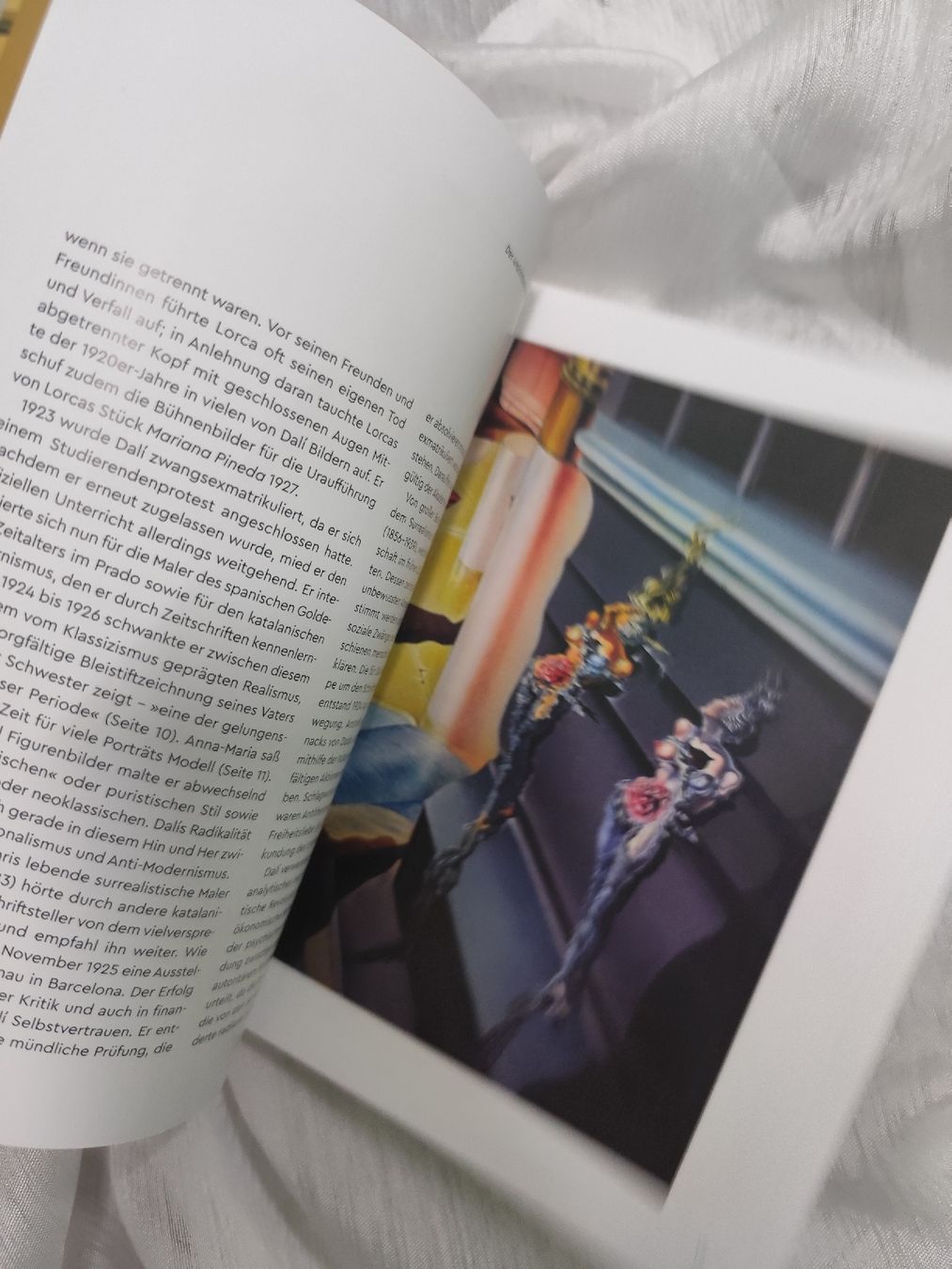 Libri: Dali Art Book - Beautifully Illustrated  – Usato da Mägenwil venduto da VintageGirly 6