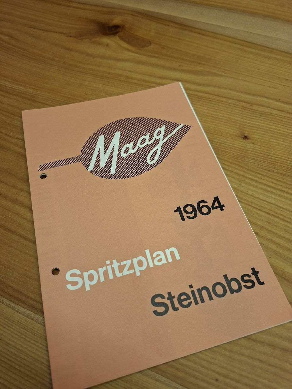 Documenti: Maag Proschüre Spritzplan Steinobst 1964 – Usato da Ganterschwil venduto da HeidiuPeter