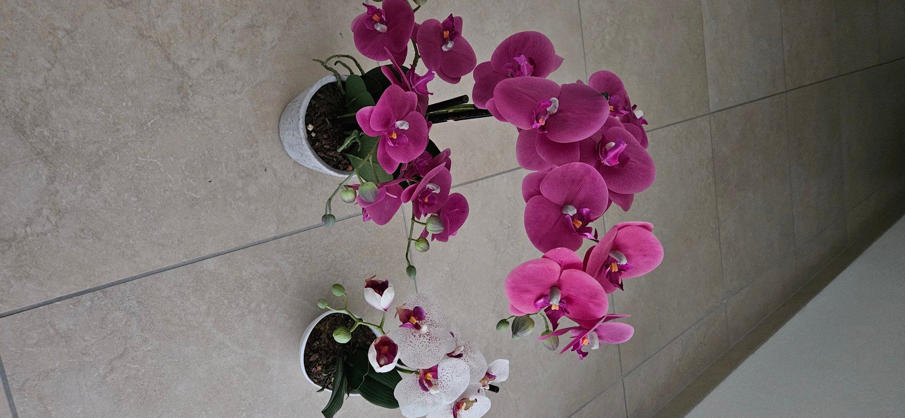 Piante & sementi: 2 Stck künstliche Orchideen – Nuovo (secondo la descrizione) da Birrwil venduto da Mischabel1 1