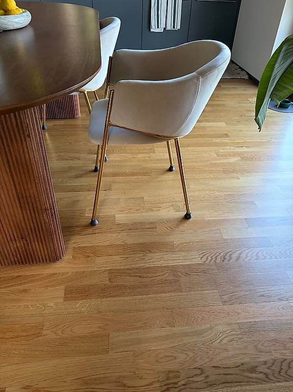 Stühle: 6 Samtstühle Beige mit goldigen Beinen – Gebraucht aus Wädenswil von sinuuro 2