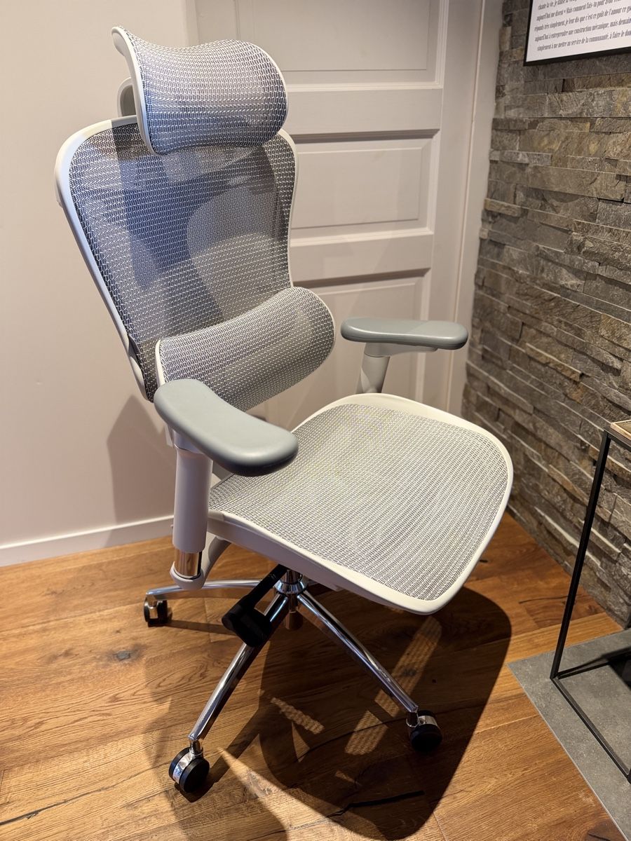Sedie: Chaise Ergonomique - Sihoo Doro C300 – Usato da St-Cergue venduto da Romain.1264 1