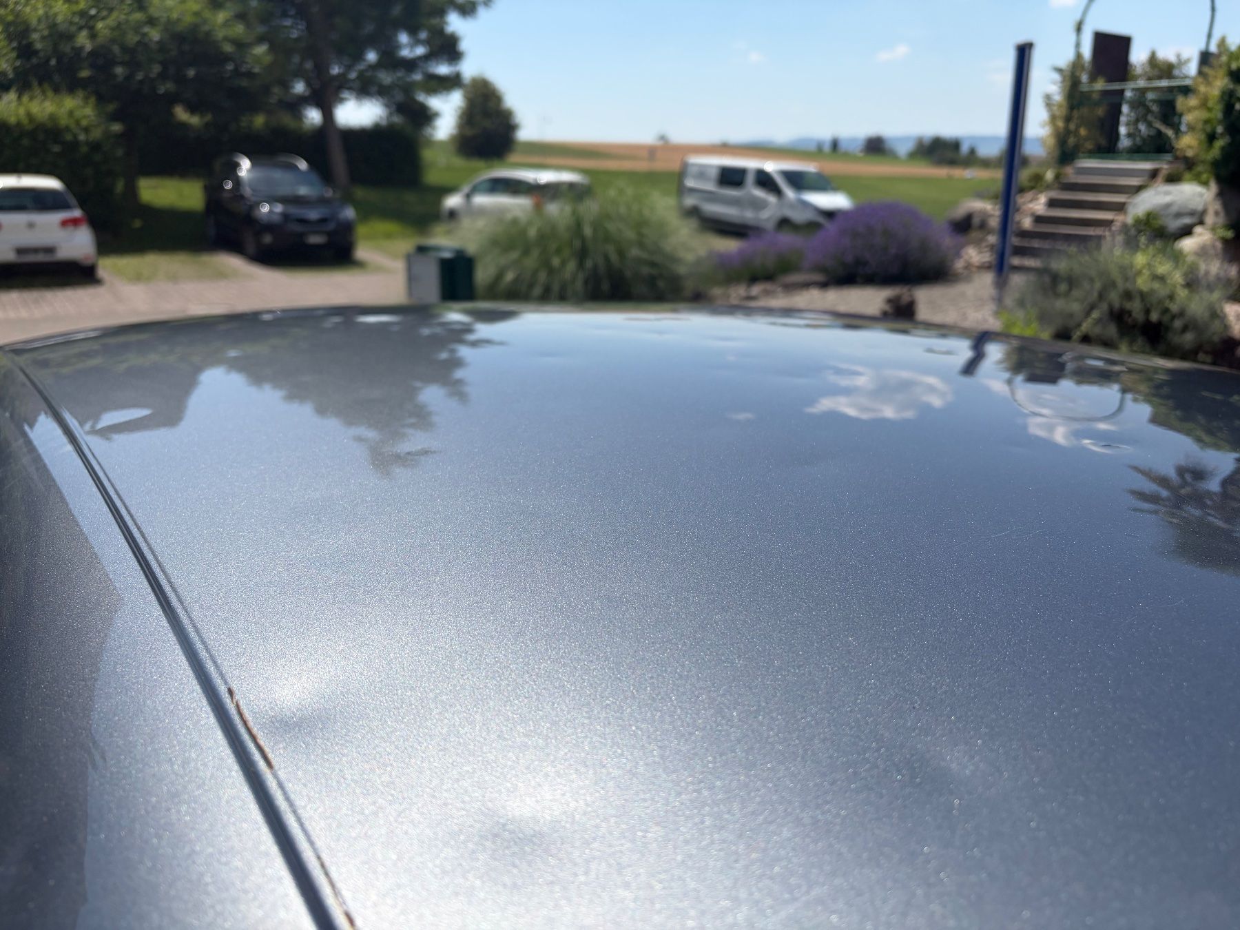 Seat Autos: Seat Leon 1.4 TSI – Gebraucht aus Uerzlikon von PSJunior 5