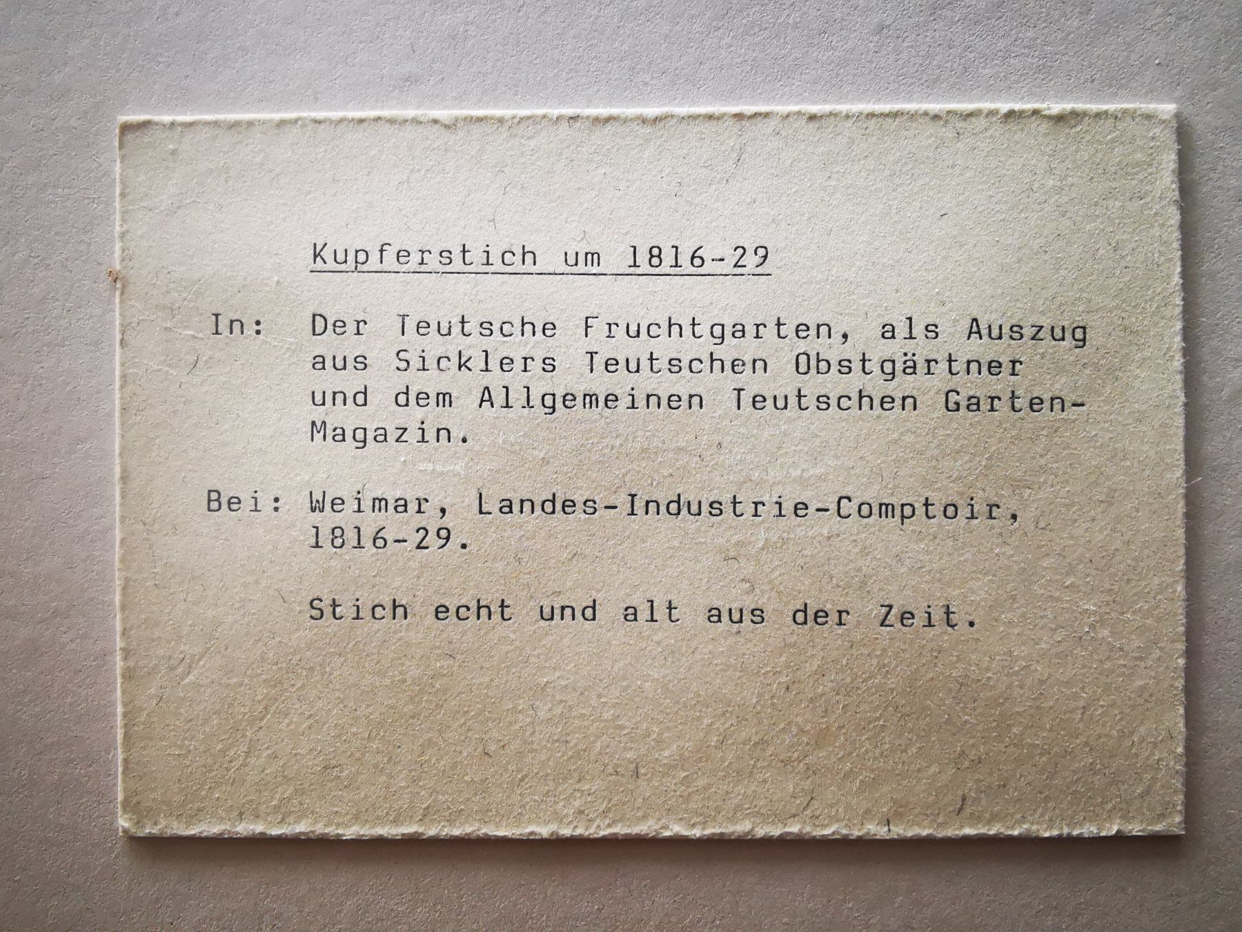 Incisioni: Antiker Kupferstich, ca. 1816-29, "Die Glockenbirne" – Usato da Dübendorf venduto da aschiduebendorf 2