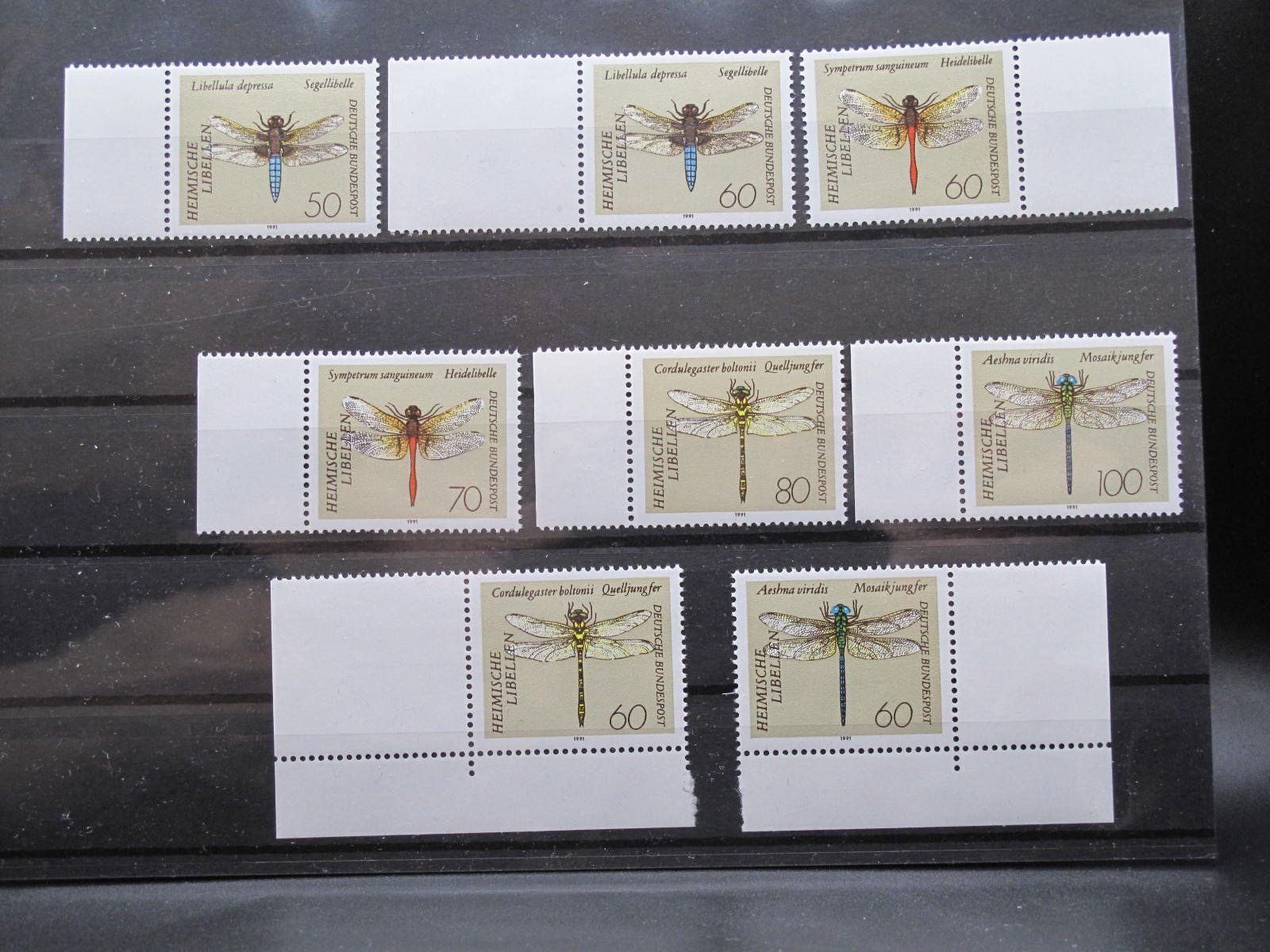 Alle Briefmarken: BRD 1991 Libellen ** – Gebraucht aus Wil SG von fva01