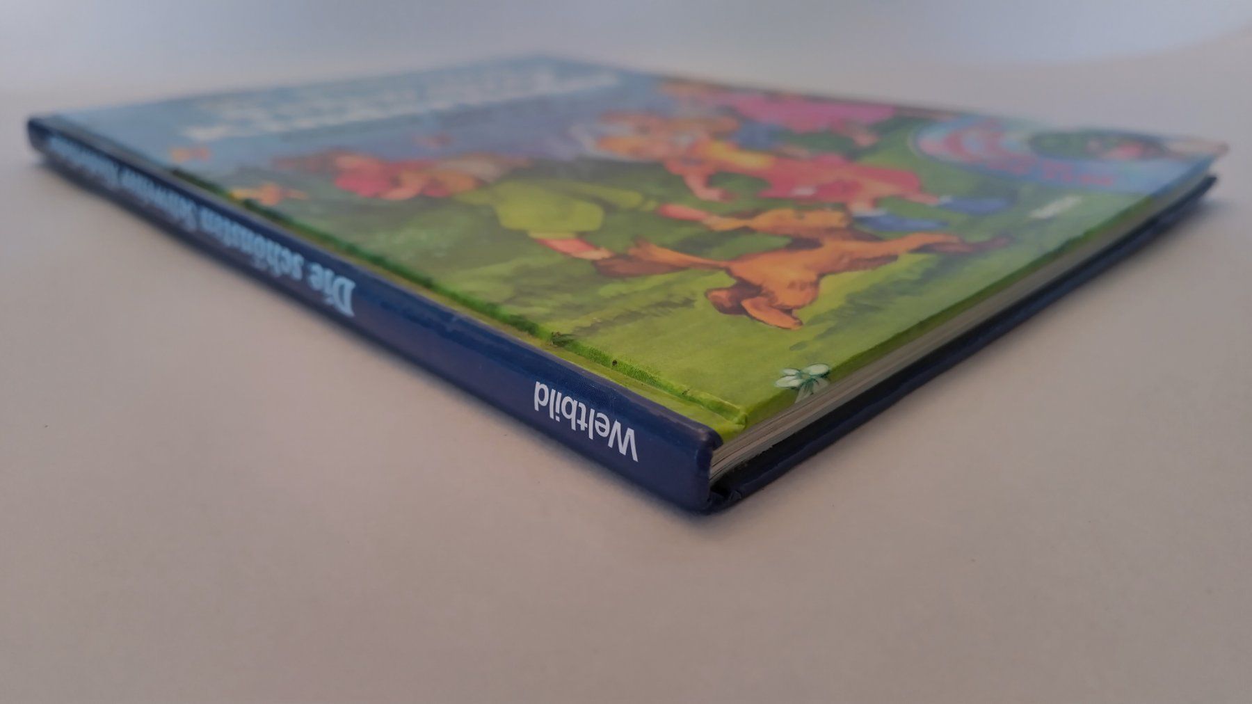 Livres: Die schönsten Schweizer Kinderlieder / Buch mit CD ab Fr. 5 – D'occasion à Bellach par JingleJerry 1