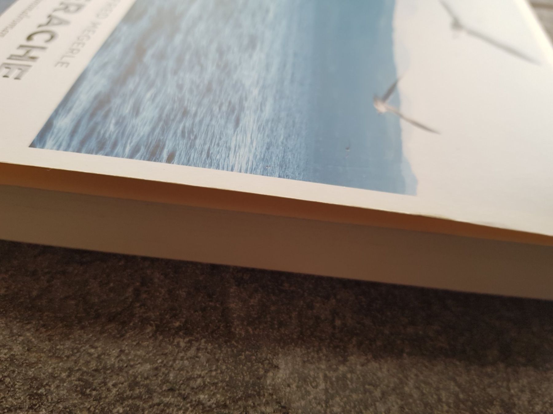 Libri: Seerache / Manfred Megerle Bodensee Krimi/ Emons – Usato da Dietikon venduto da marconi07 2