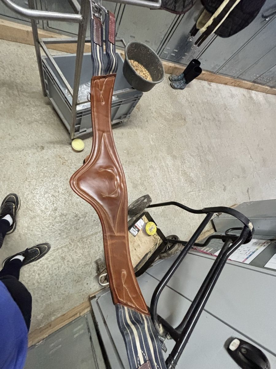 Selle & Accessori: Sangle antares – Usato da Grandvaux venduto da mal_6chl 1