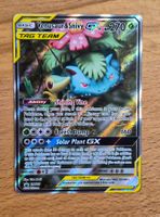 Venusaur & Snivy GX (SM229)