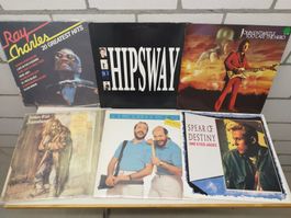 Schallplatten Konvolut mit 6 Diversen LP s