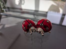 Déco deux coccinelles rouges en métale, porte bonheur !