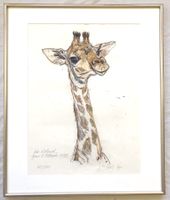 Fritz Hug (1921-1989) - Lithografie mit Widmung - Giraffe