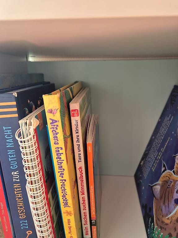 Regale: Bücherregal in Hausform – Gebraucht aus Biel-Benken BL von Mayvonne 2