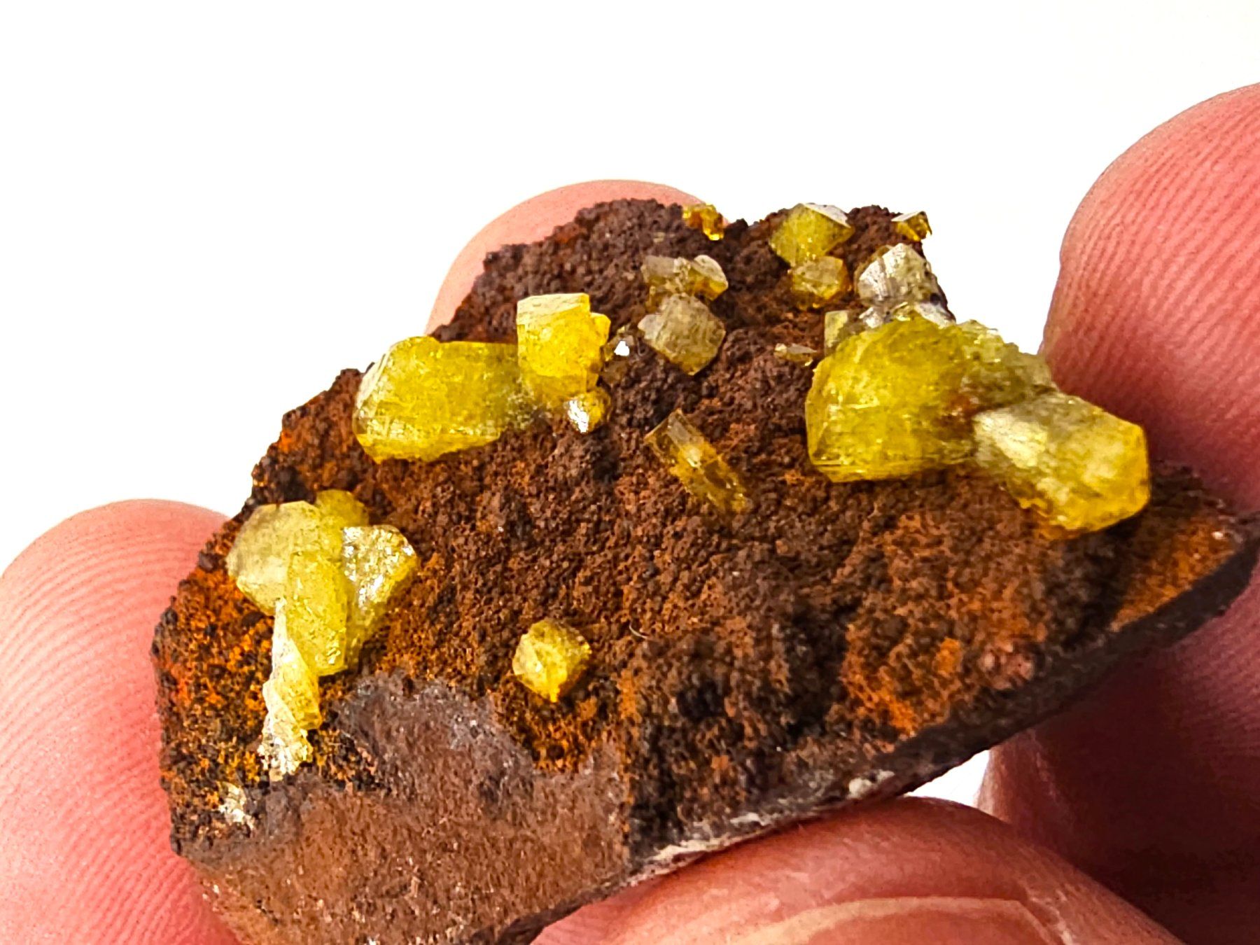 Minerali & Pietre curative: Adamite - Ojuela Mine, Mapimi, Durango, Mexico – Usato da Figino venduto da minshop 2
