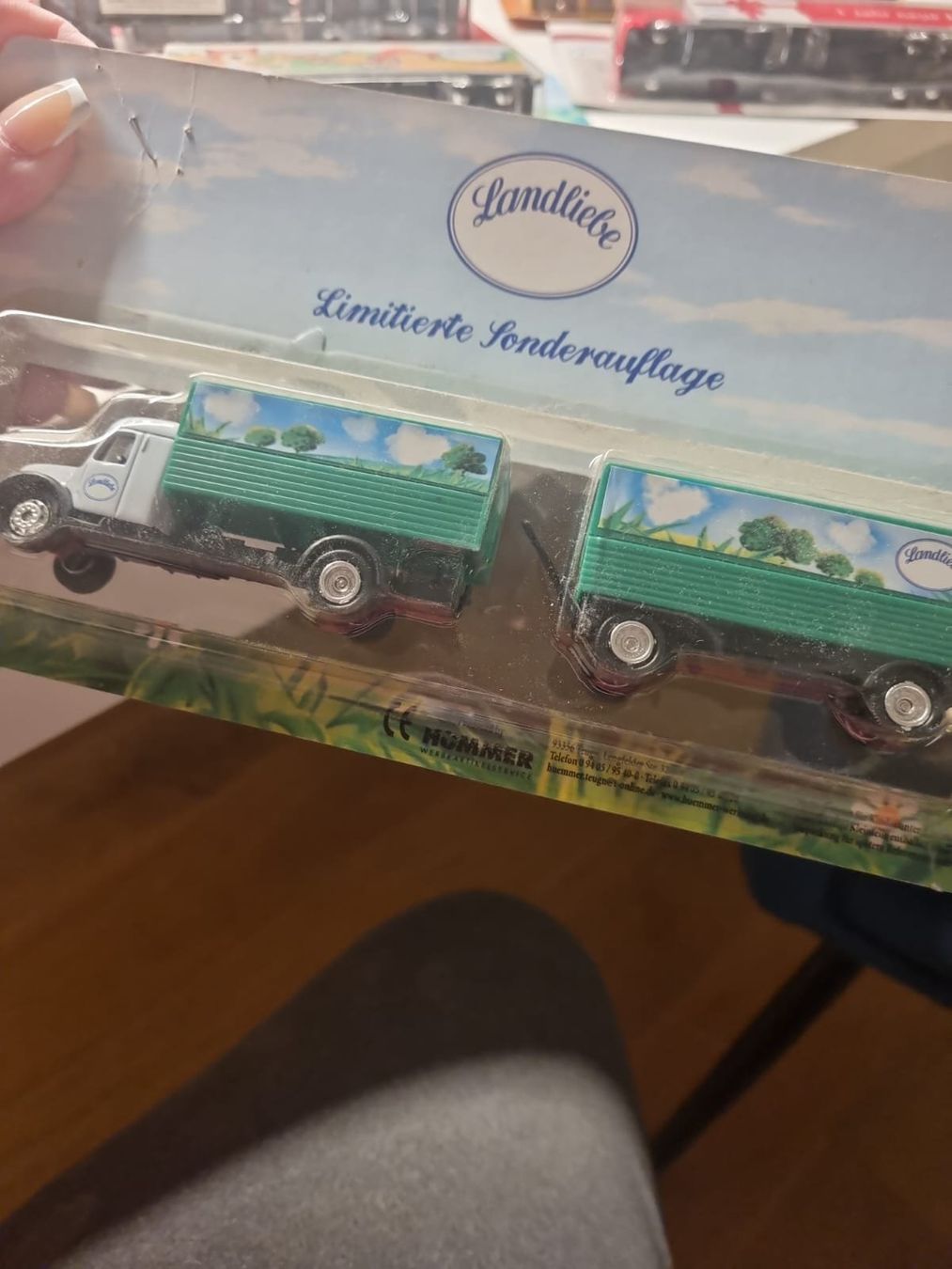Kit di modellismo & Modellini statici: 170 exklusive Lastwagenmodelle – Usato da Sulz AG venduto da waedi72- 4