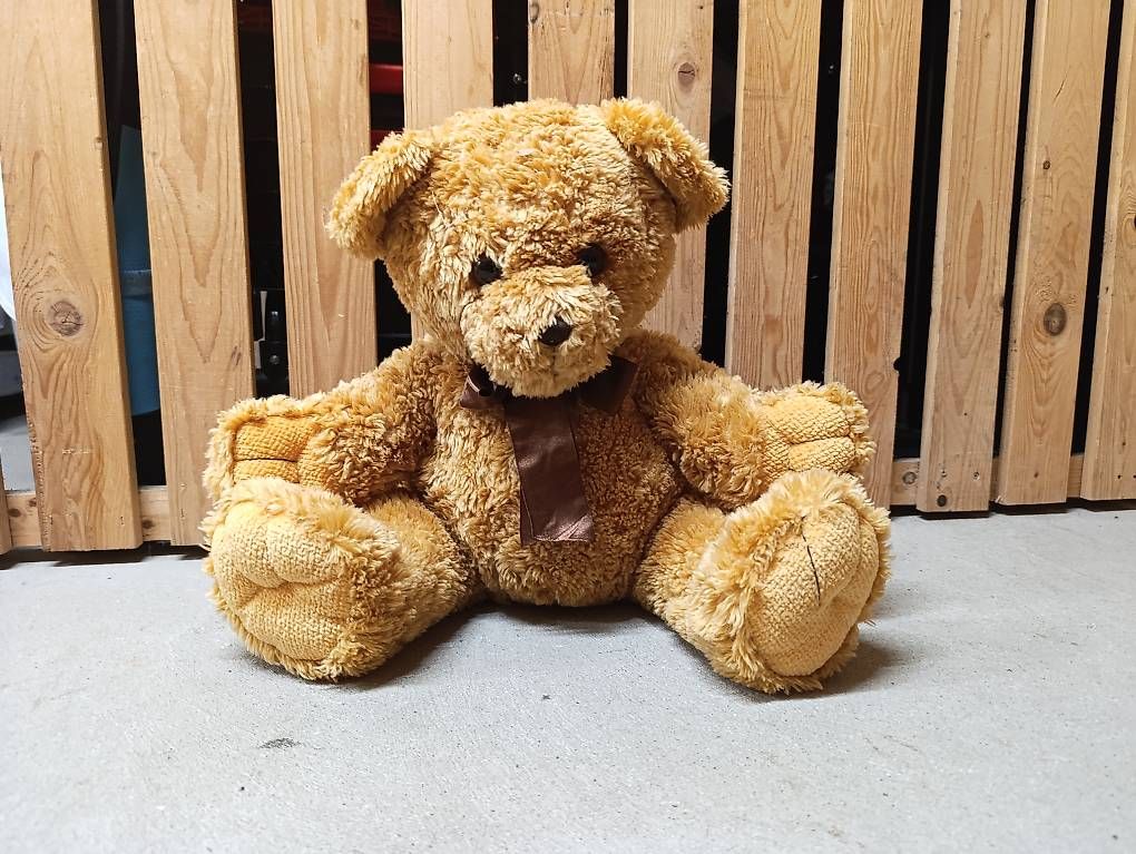 Spielzeuge: Teddy – Gebraucht aus Berg TG von Gisela86