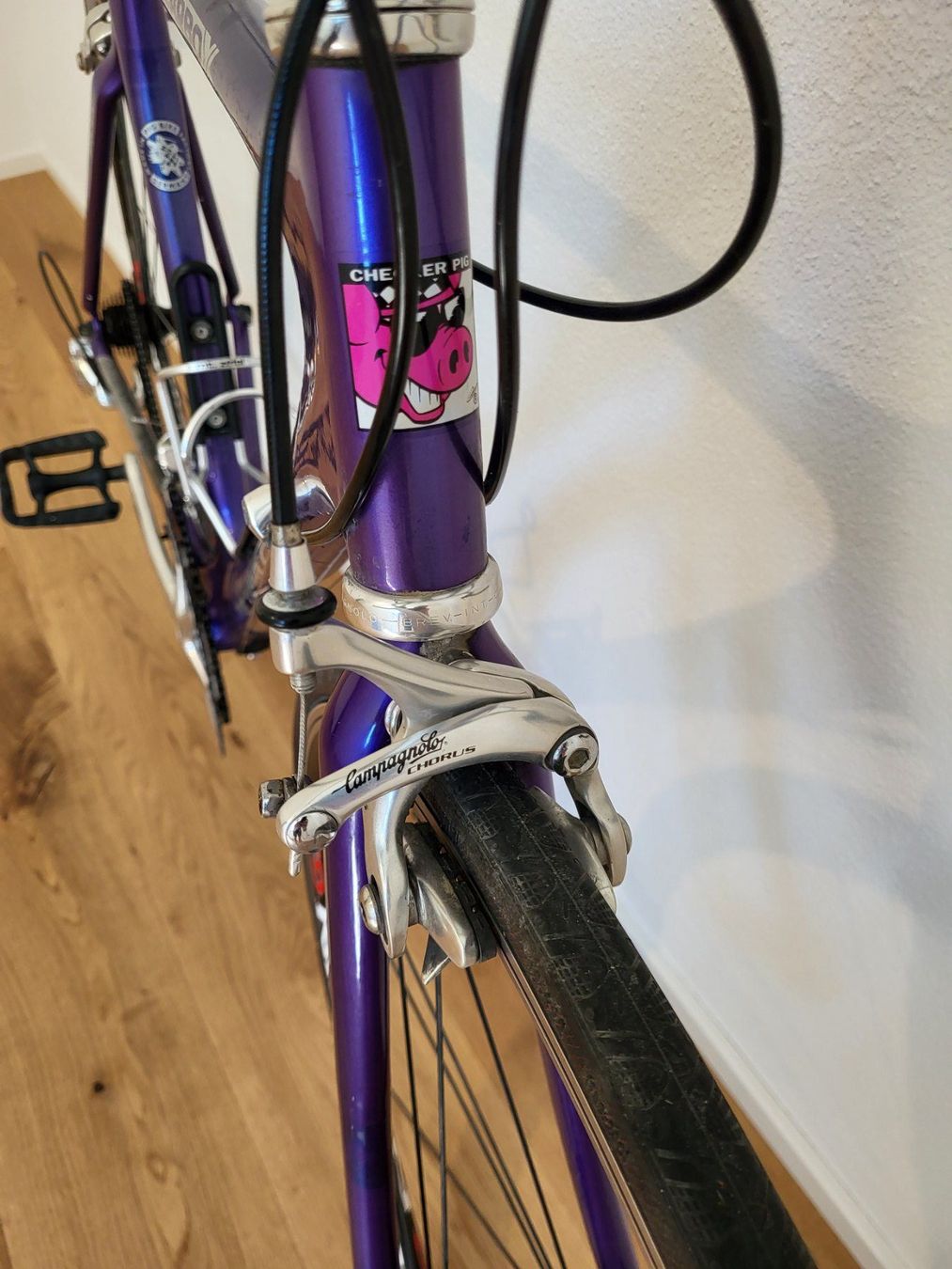 Checker Pig Biciclette: Rennvelo Campagnolo Checker Pig – Usato da Hirschthal venduto da L_Hi 4