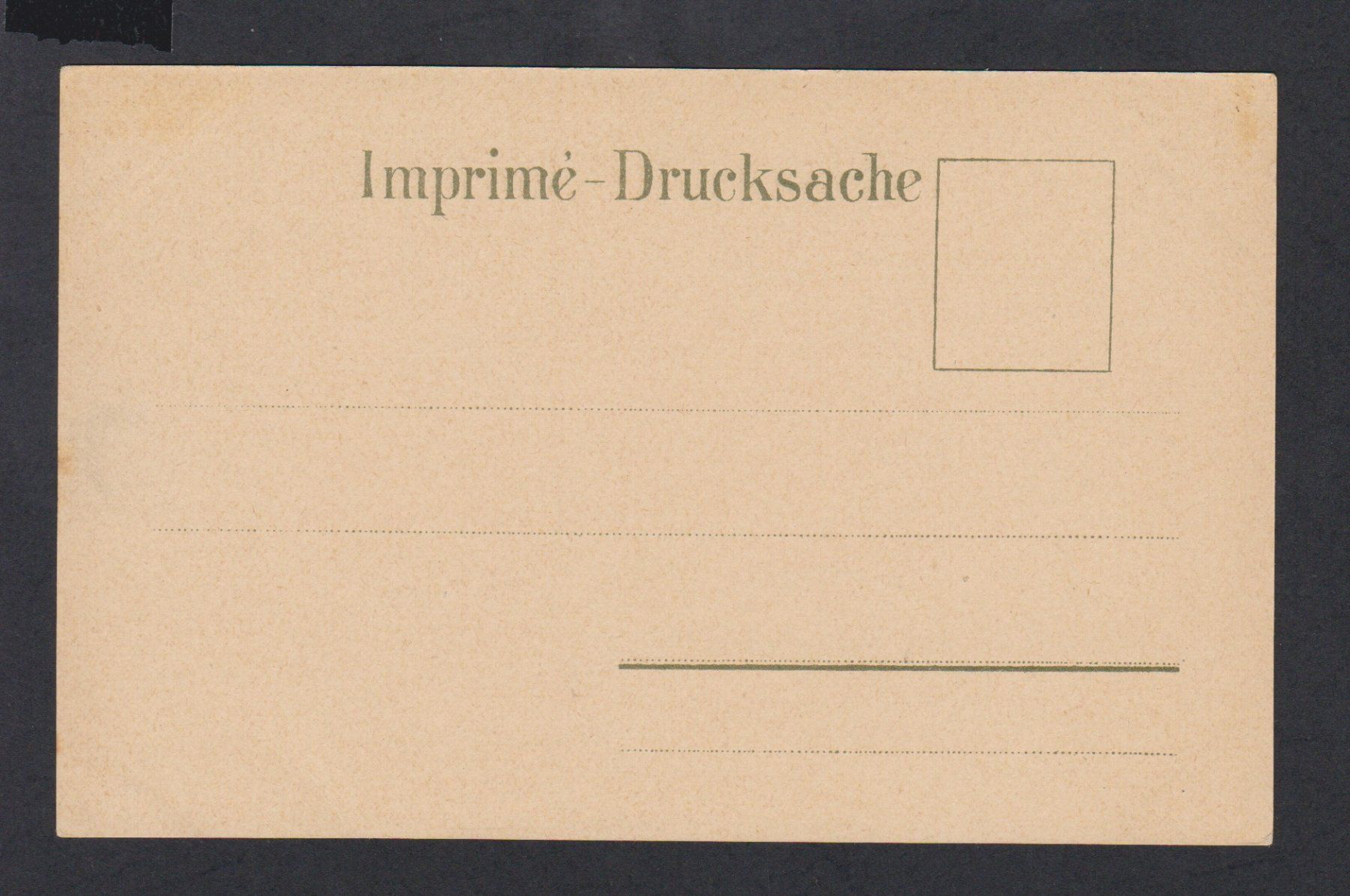 Cartes postales: Rorschach   :   alte Litho - Ansichtskarte ** – D'occasion à Vitznau par Ropaku 1