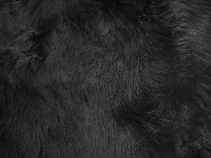 Tappeti: Lammfell Teppich Black – Nuovo e nell'imballaggio originale da Arbedo venduto da patagonialeatherrugs 2