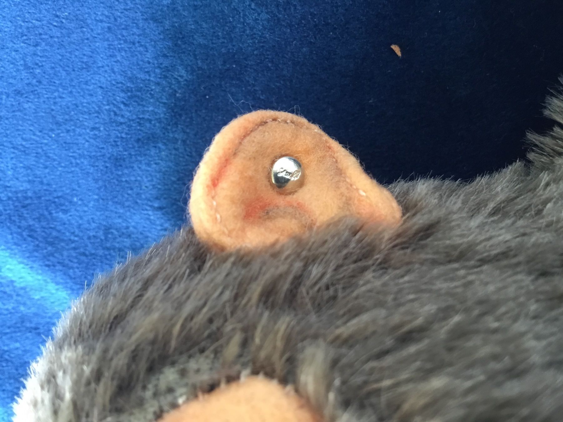 Steiff Giocattoli: Steiff Handpuppe Affe Jocko – Usato da Gossau ZH venduto da ClaudealDente 2
