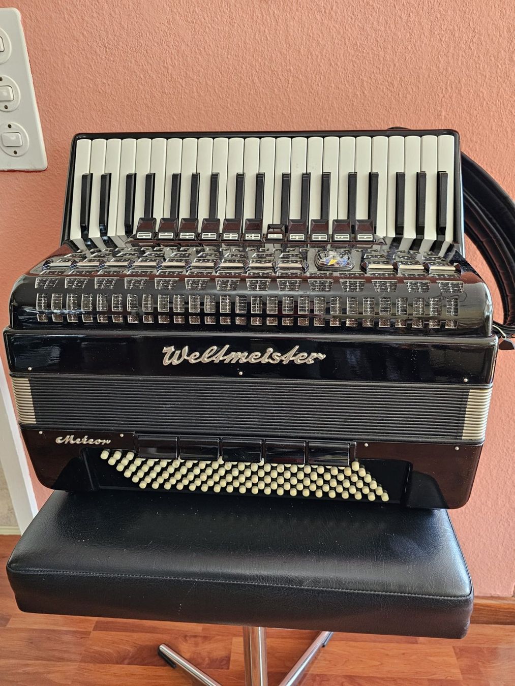 Strumenti musicali: Akkordeon – Usato da Luzern venduto da wildflower1