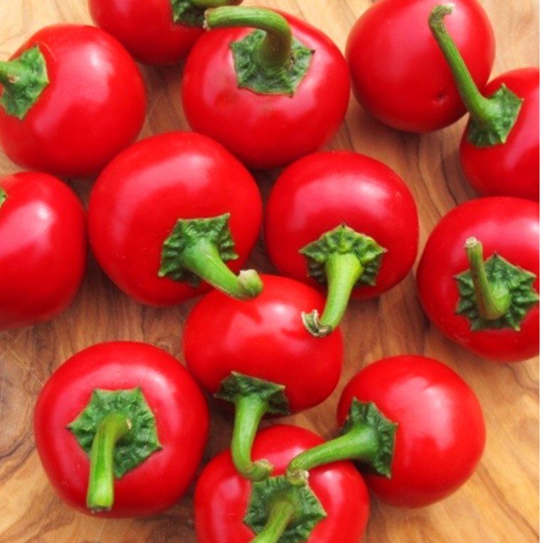Pflanzen & Samen: Süße Kirschpaprika DUMAS / 5 Samen – Neu (gemäss Beschreibung) aus Hinteregg von ERFOLG78 1
