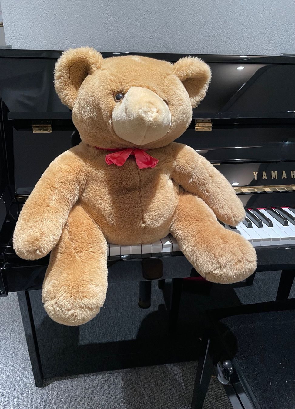 Giocattoli: Petit teddy peluche – Nuovo (secondo la descrizione) da Genève venduto da flocon06 1