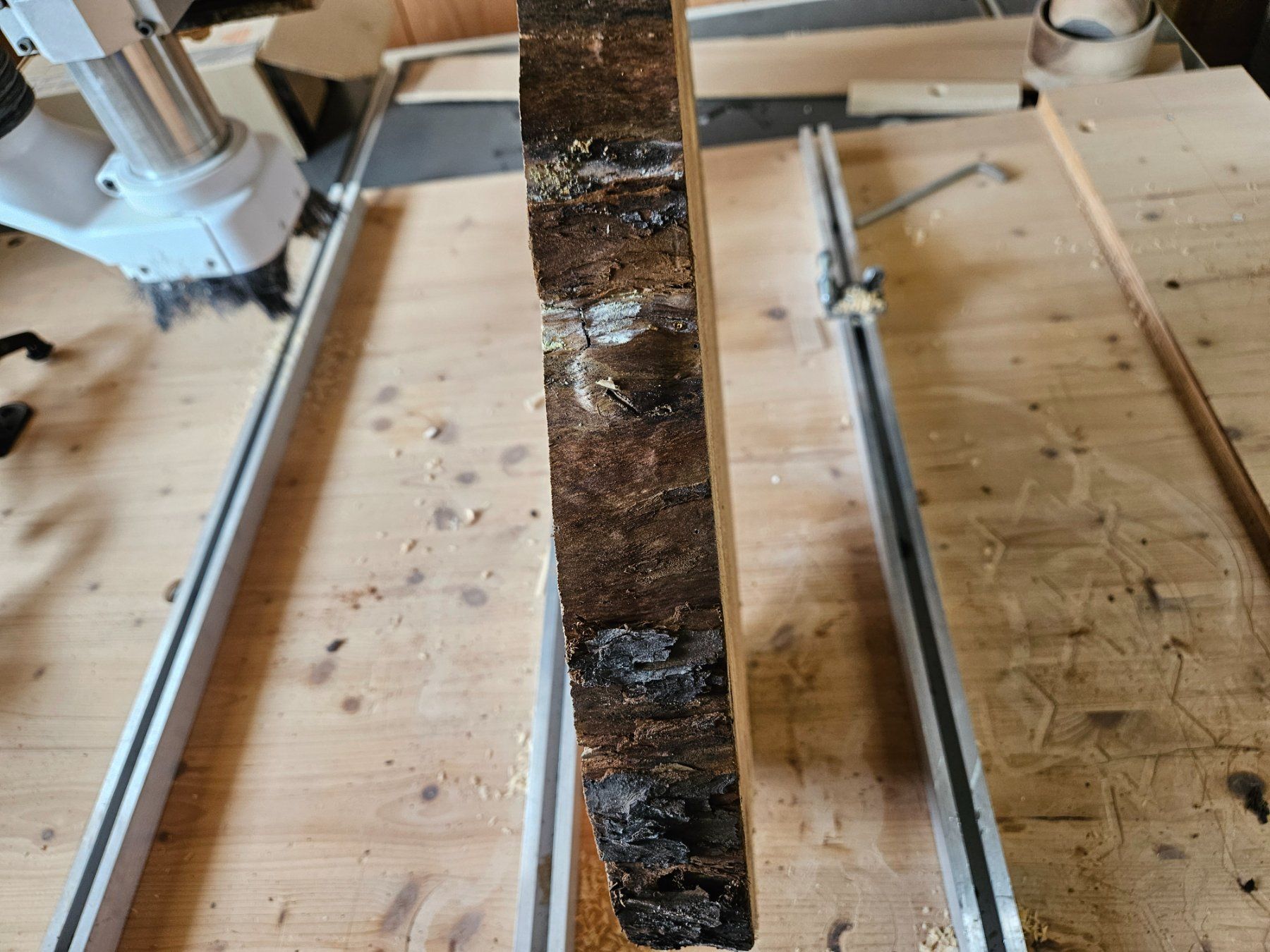 Articles en bois: Baumscheibe Kirschbaum Holz – Neuf (Voir description) à Schangnau par egli6.2 1