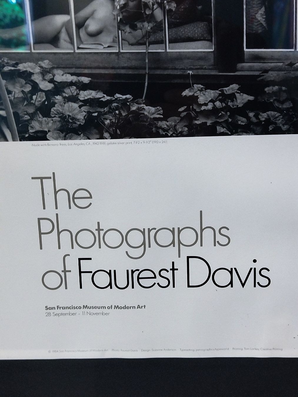Foto & Immagini: Faurest Davis Originalfoto – Usato da Zürich venduto da Top-Deal-Schweiz 2