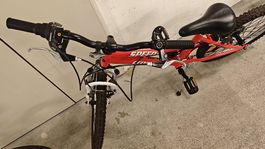 20 Zoll Fahrrad 