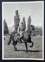 ANSICHTSKARTE ARMEE PFERD UND DER KDT. EIDG.KAVALLERIE BERN