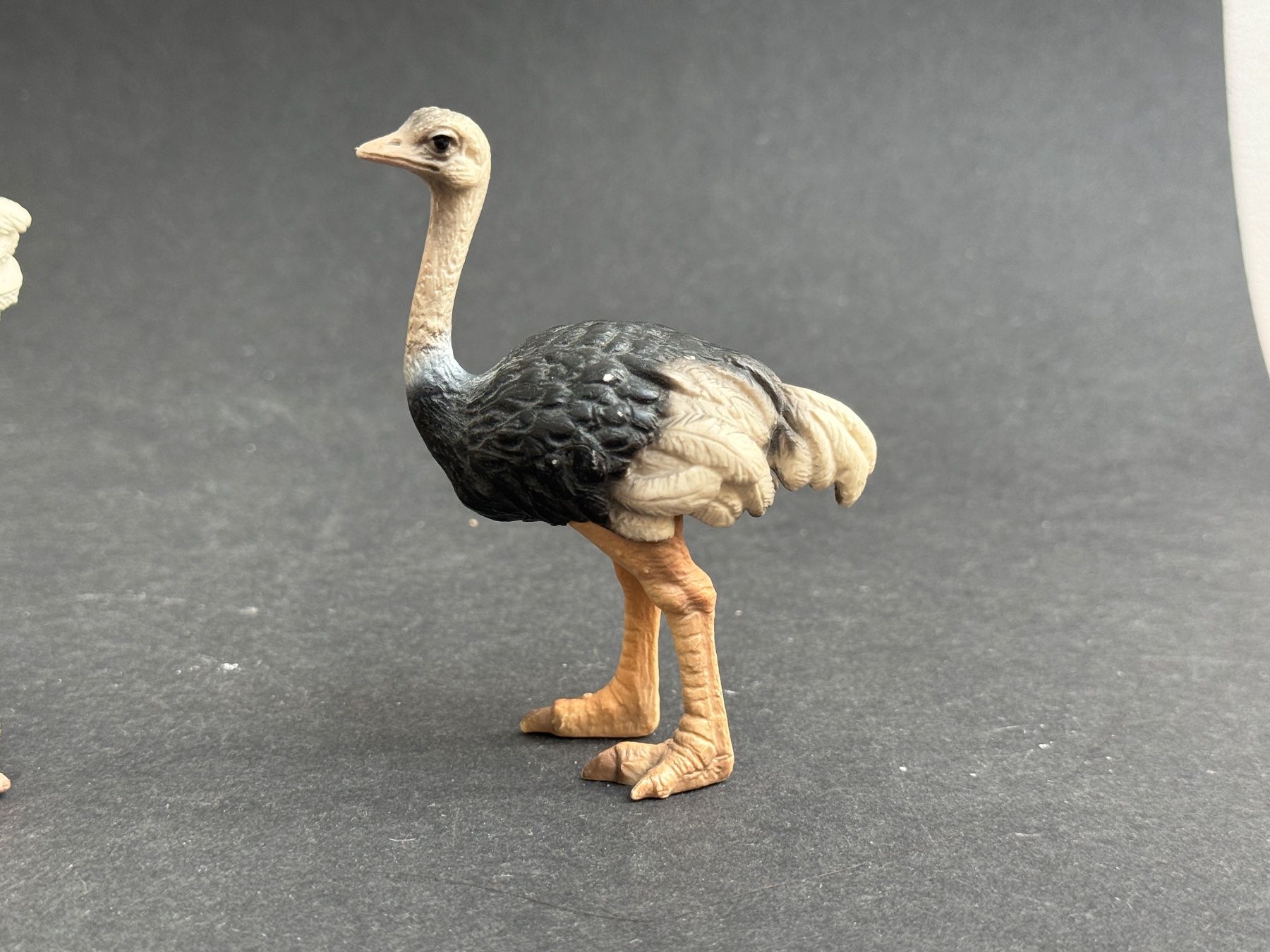 Schleich Statuette: Schleich Strauss Familie – Usato da Ennetbaden venduto da mapa05 2