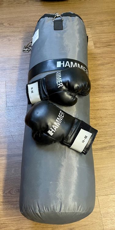 Kinder Boxsack Set Mit Handschuhen - Boxsandsack Für Kinder Training & Spaß