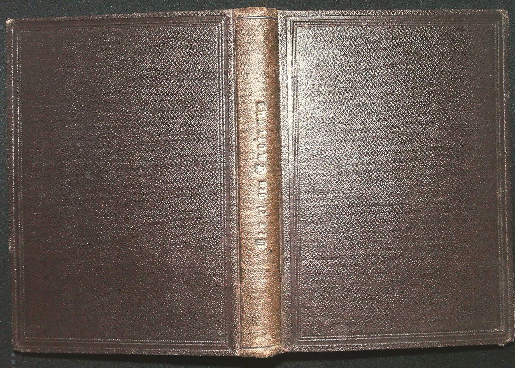 Libri: Bex et ses environs von E. Rambert 1871 – Usato da Rafz venduto da Helvet32 3