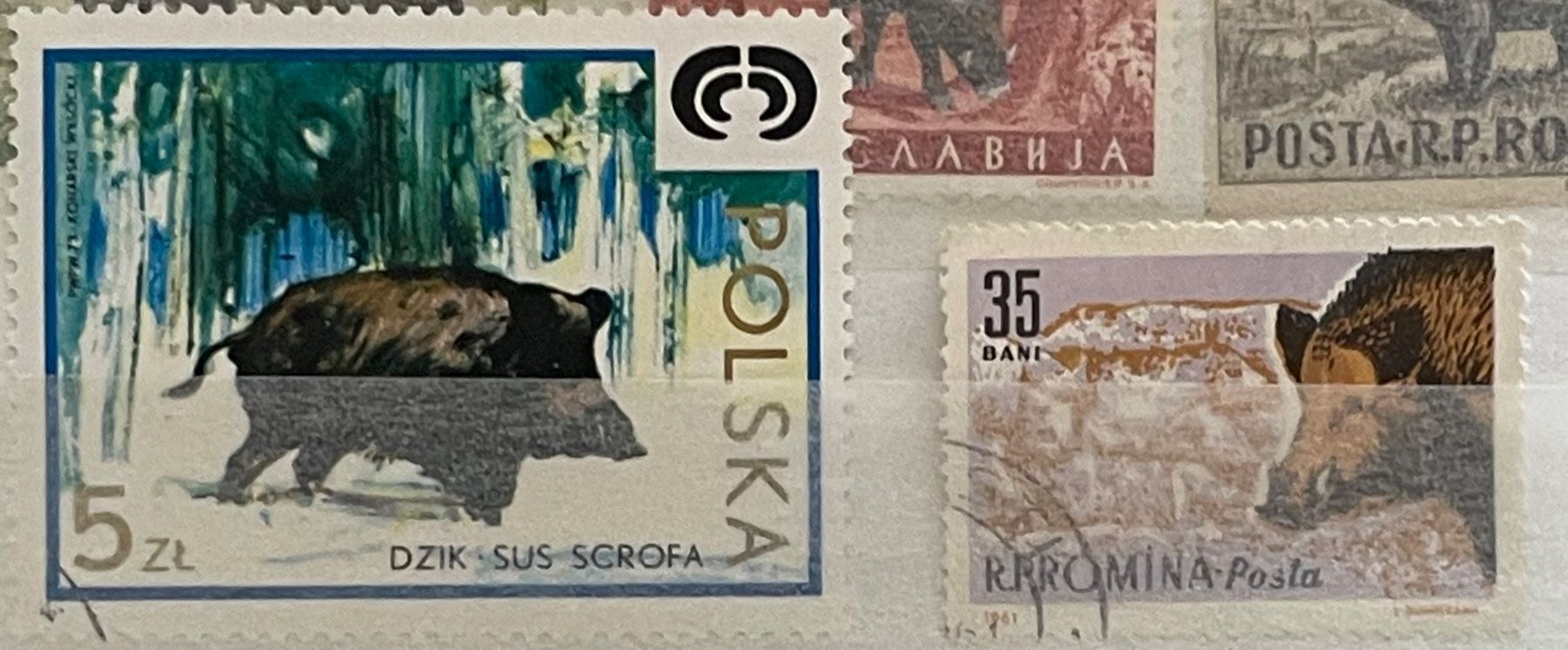 Tous les timbres: Briefmarken mit Wildschweinen – Neuf (Voir description) à Bern par TamSham 6
