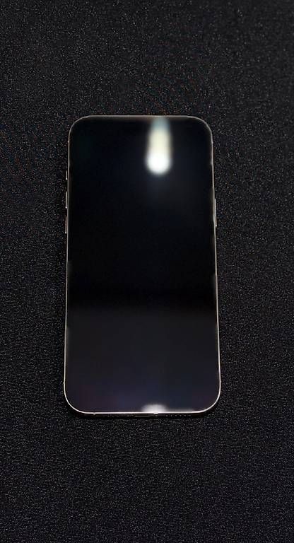 Telefoni cellulari / Smartphones: Refurbished | iPhone 16 Pro Max 256GB Natural Titanium – Usato da Zürich venduto da dom_578q 1